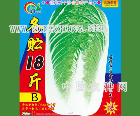 冬贮18斤B